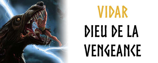 Vidar dieu viking de la vengeance