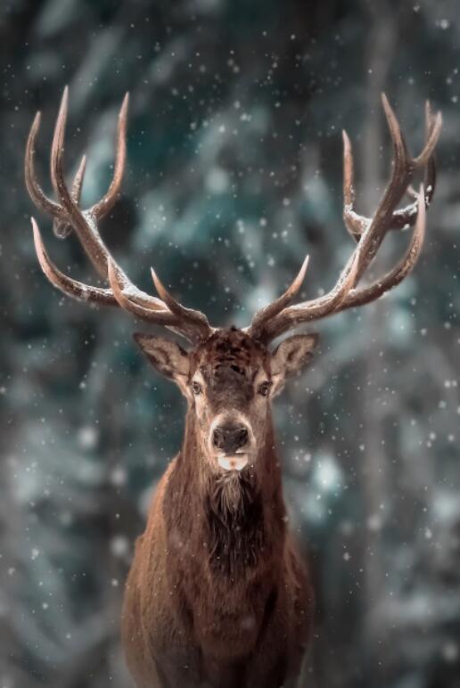 Tableau Viking Cerf Eikthyrnir