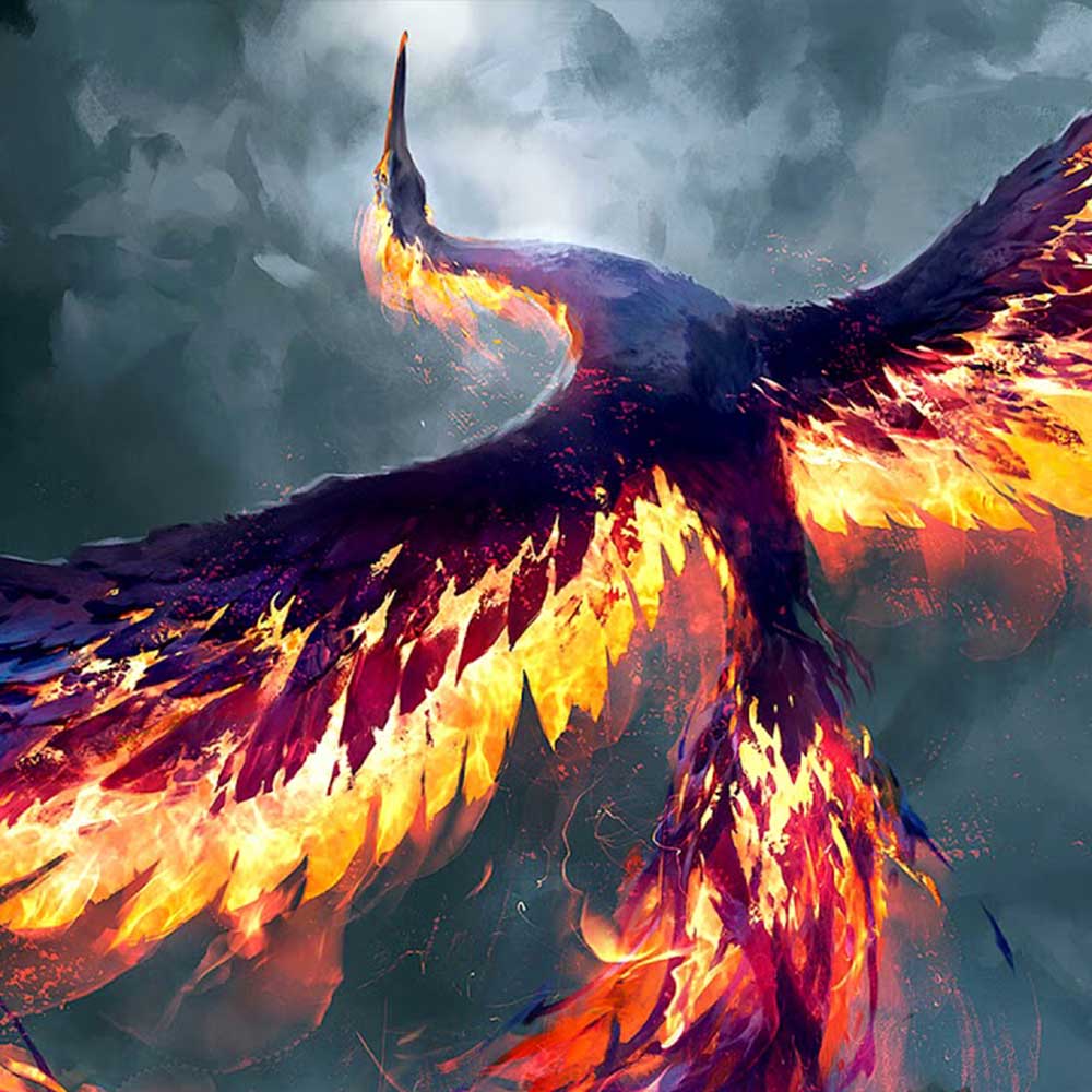 Phoenix New Collection phoenix – Ervald