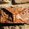 Owl Gaze Viking Wall Art