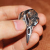 Vegvisir Raven Viking Ring